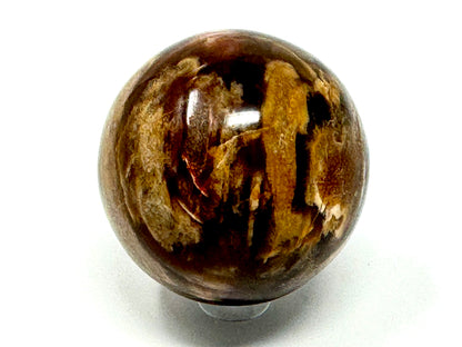 Fossil Wood Sphere 5.4cm