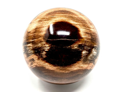 Fossil Wood Sphere 8.7cm