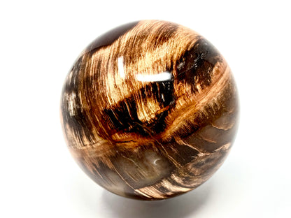 Fossil Wood Sphere 8.7cm