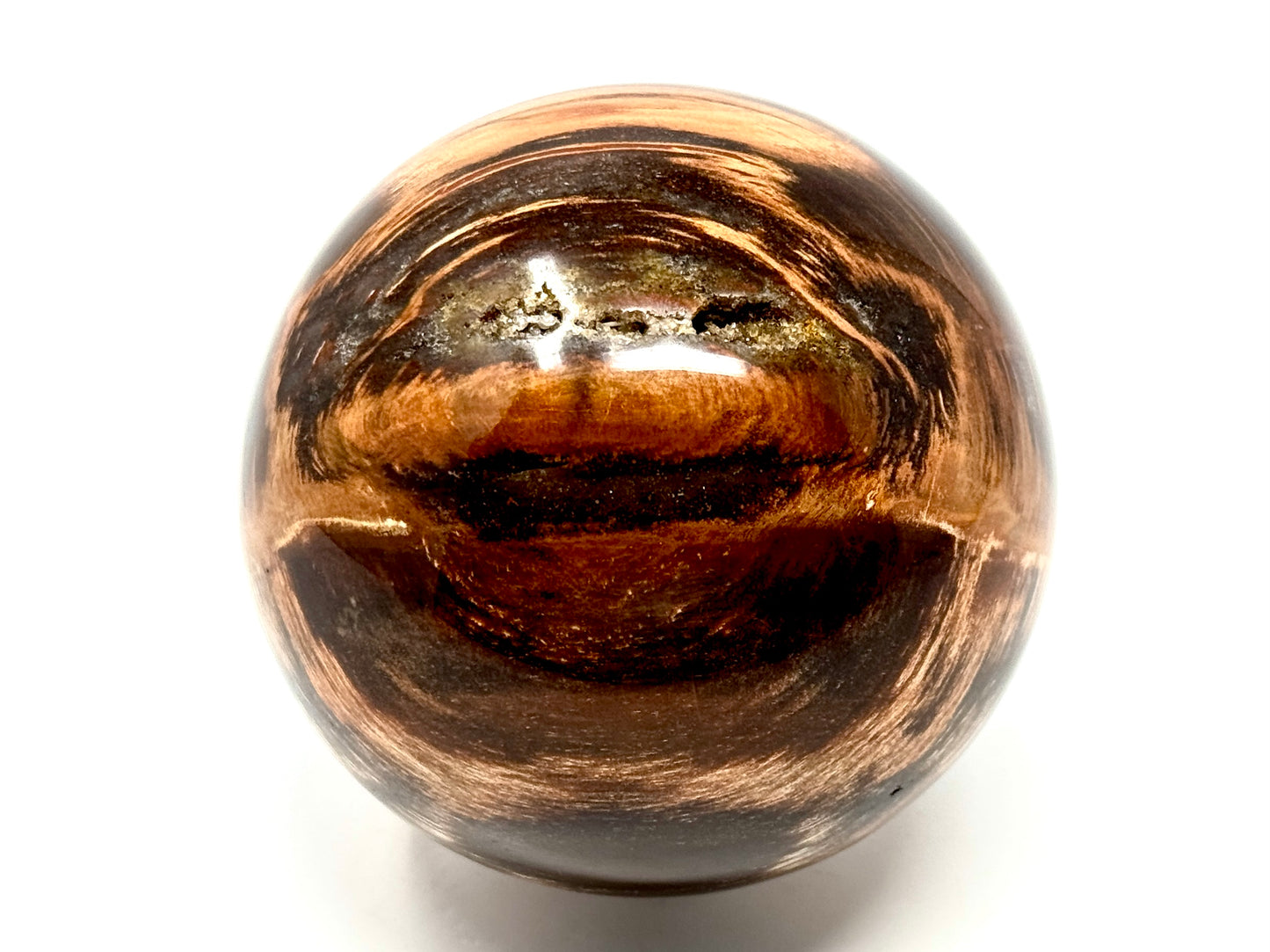 Fossil Wood Sphere 8.7cm