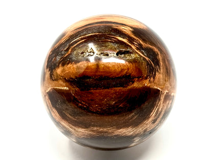 Fossil Wood Sphere 8.7cm