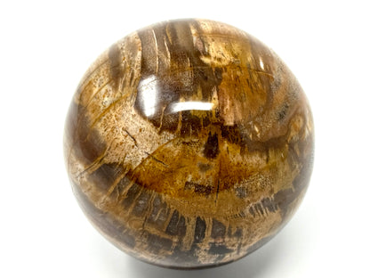 Fossil Wood Sphere 7.5cm