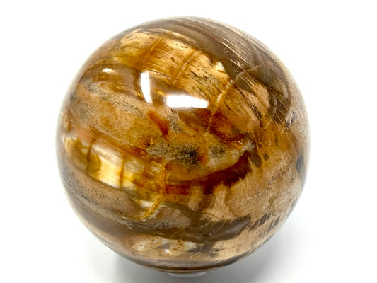 Fossil Wood Sphere 7.5cm