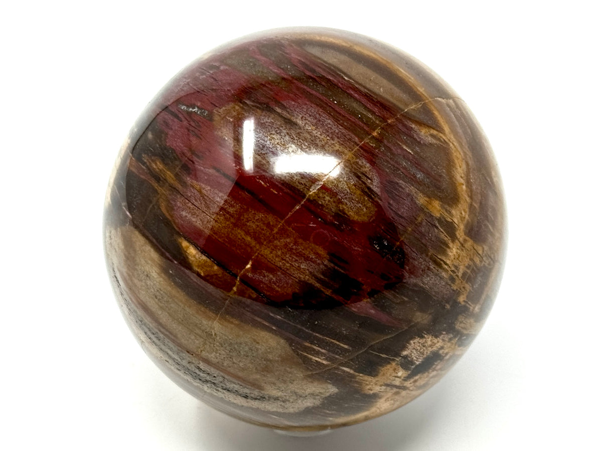 Fossil Wood Sphere 7.5cm