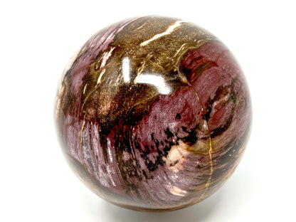 Fossil Wood Sphere 8.8cm