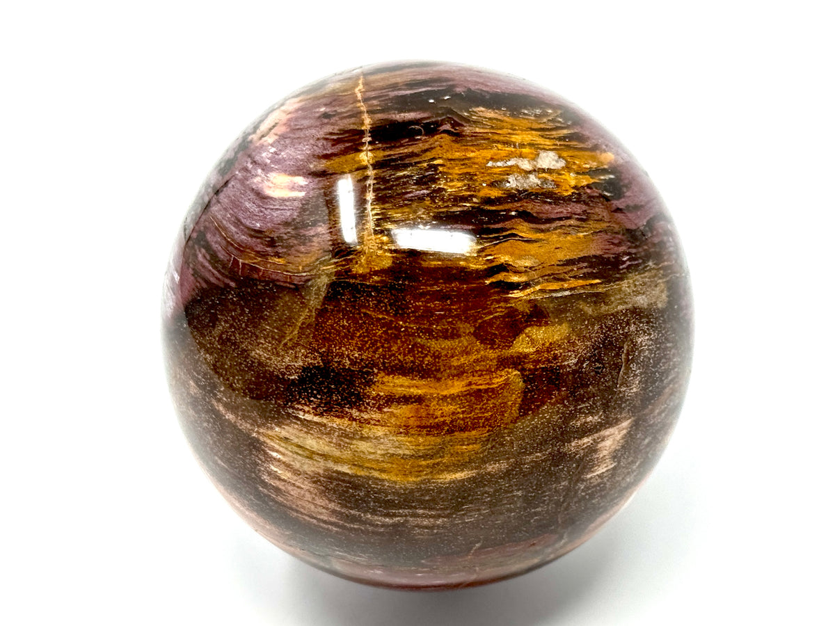 Fossil Wood Sphere 8.8cm