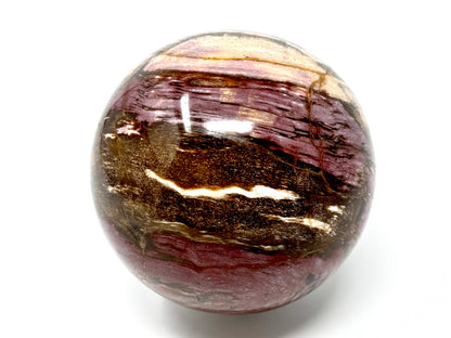 Fossil Wood Sphere 8.8cm