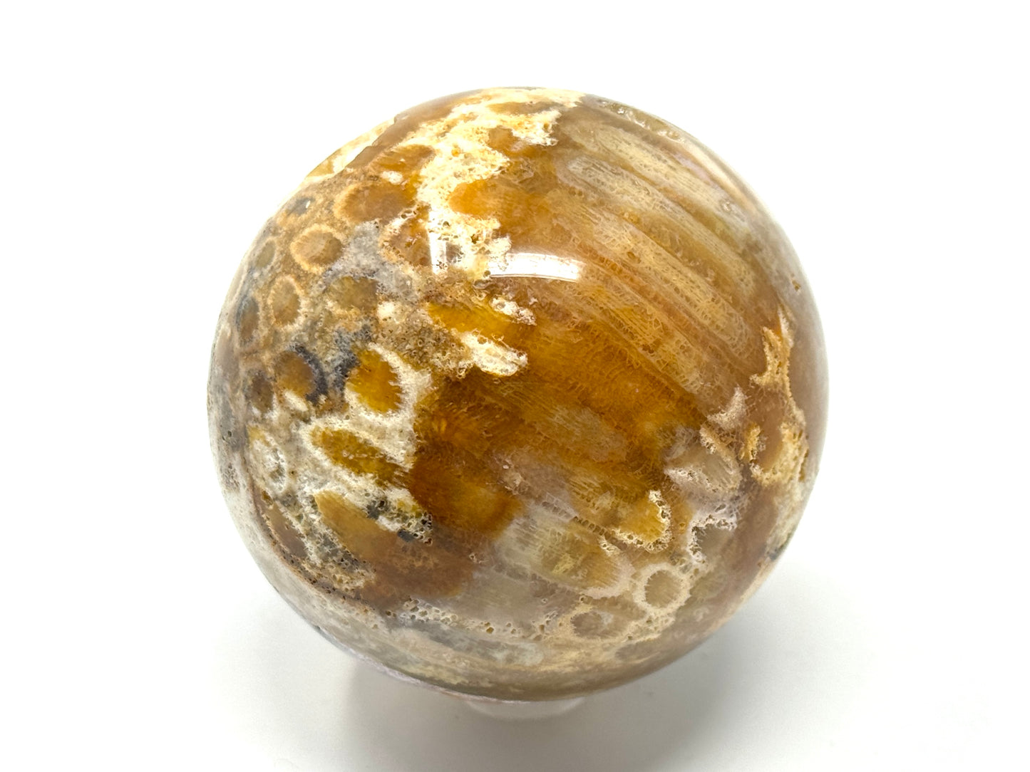 Fossil Coral Sphere 6.5cm