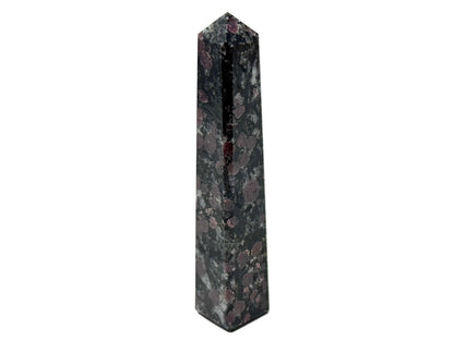 Garnet in Black Tourmaline Crystal Tower 10.2cm