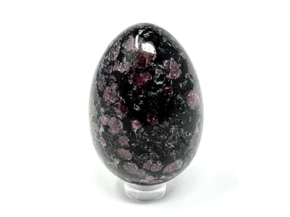 Garnet in Black Tourmaline Crystal Egg 6.2cm