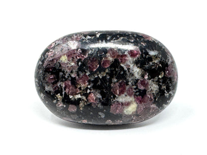 Garnet in Black Tourmaline Crystal Pebble 6.3cm
