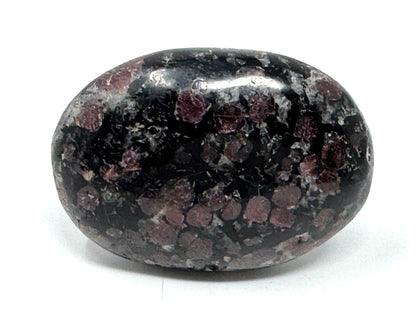 Garnet in Black Tourmaline Crystal Pebble 5.9cm