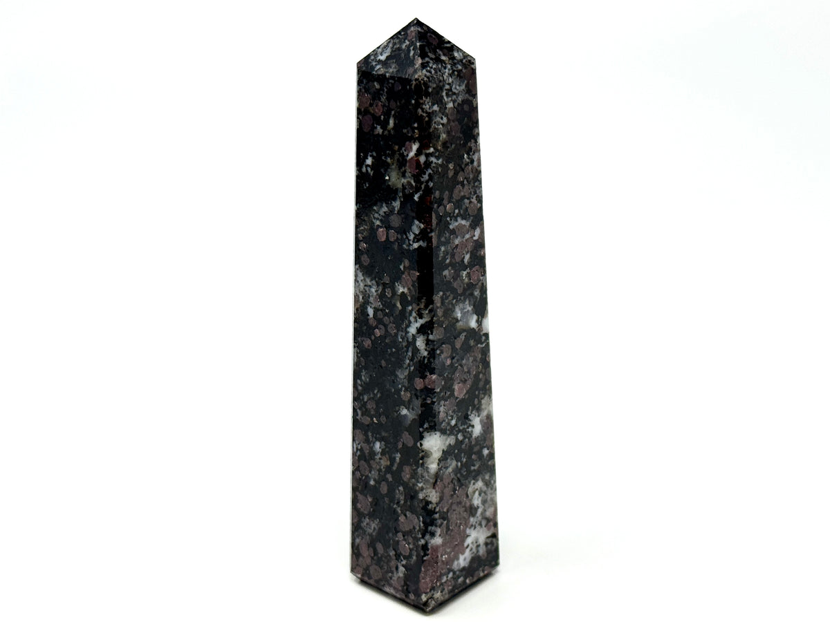 Garnet in Black Tourmaline Crystal Tower 11cm