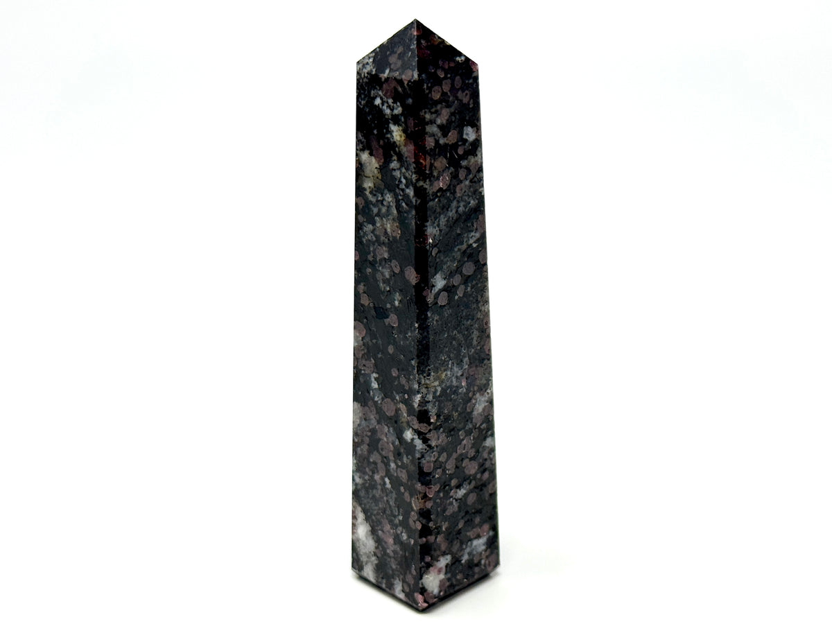Garnet in Black Tourmaline Crystal Tower 11cm