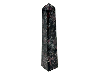 Garnet in Black Tourmaline Crystal Tower 10.2cm