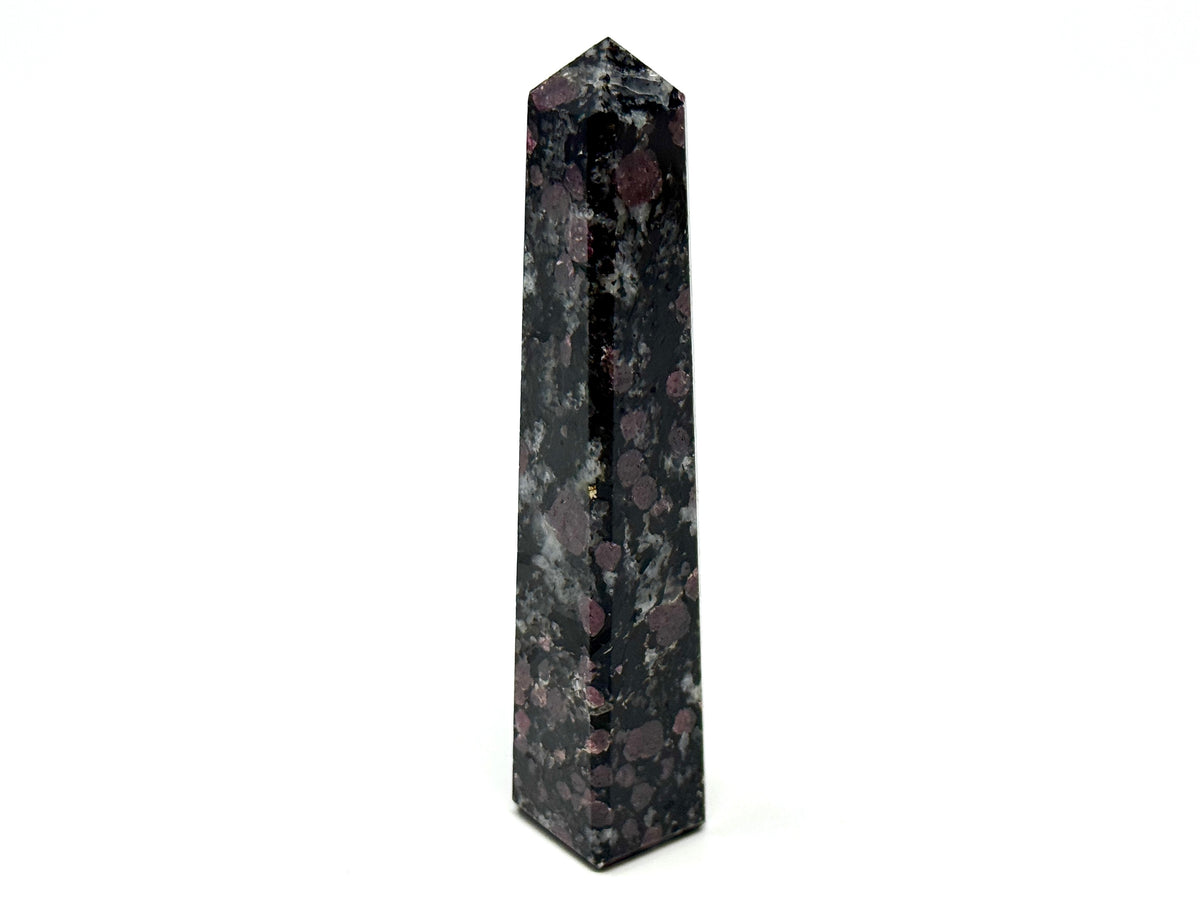 Garnet in Black Tourmaline Crystal Tower 10.2cm