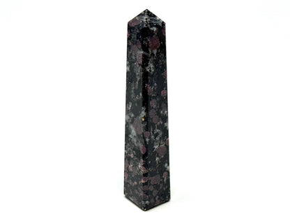 Garnet in Black Tourmaline Crystal Tower 10.2cm