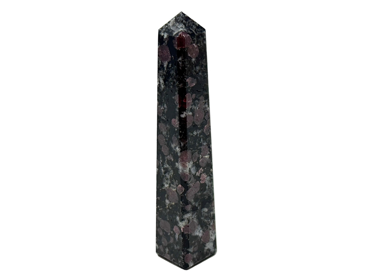 Garnet in Black Tourmaline Crystal Tower 10.2cm