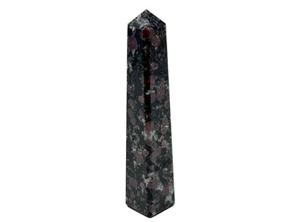 Garnet in Black Tourmaline Crystal Tower 10.2cm