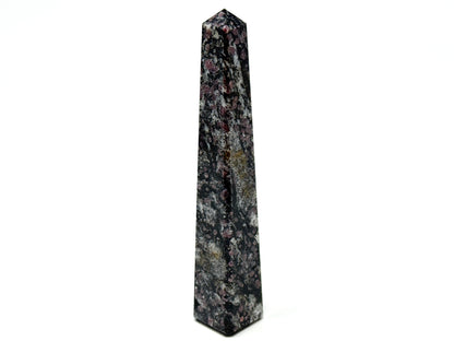 Garnet in Black Tourmaline Crystal Tower 13.5cm