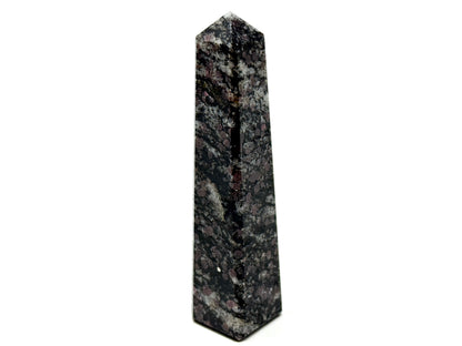 Garnet in Black Tourmaline Crystal Tower 9.3cm