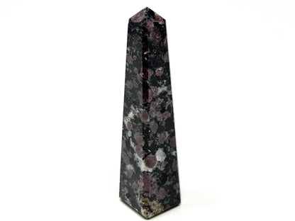 Garnet in Black Tourmaline Crystal Tower 9.7cm
