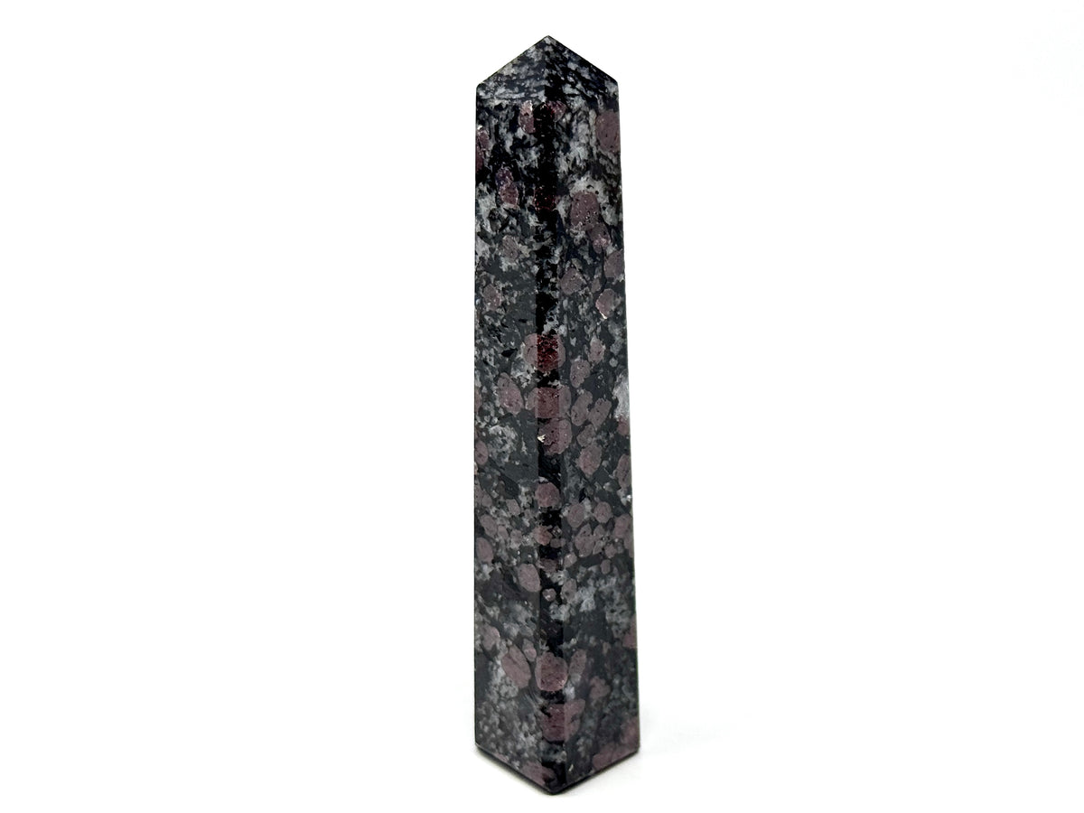 Garnet in Black Tourmaline Crystal Tower 11cm