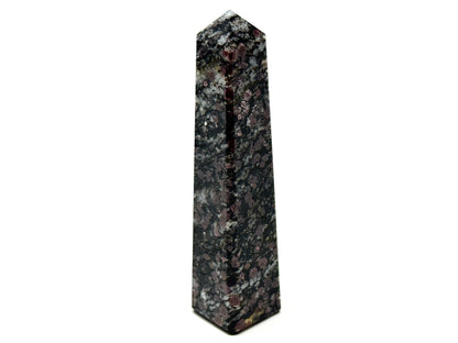 Garnet in Black Tourmaline Crystal Tower 9.3cm