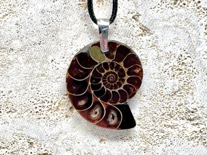 Half Ammonite Fossil Pendant 3.7cm