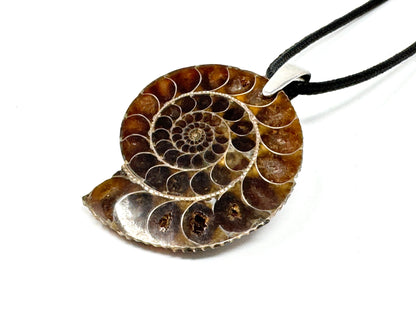 Half Ammonite Fossil Pendant 4.1cm