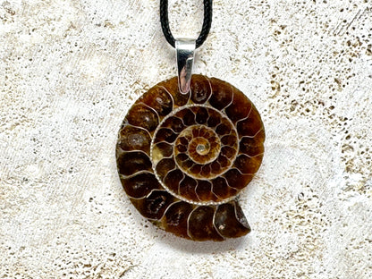 Half Ammonite Fossil Pendant 4.1cm