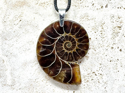Half Ammonite Fossil Pendant 4.2cm