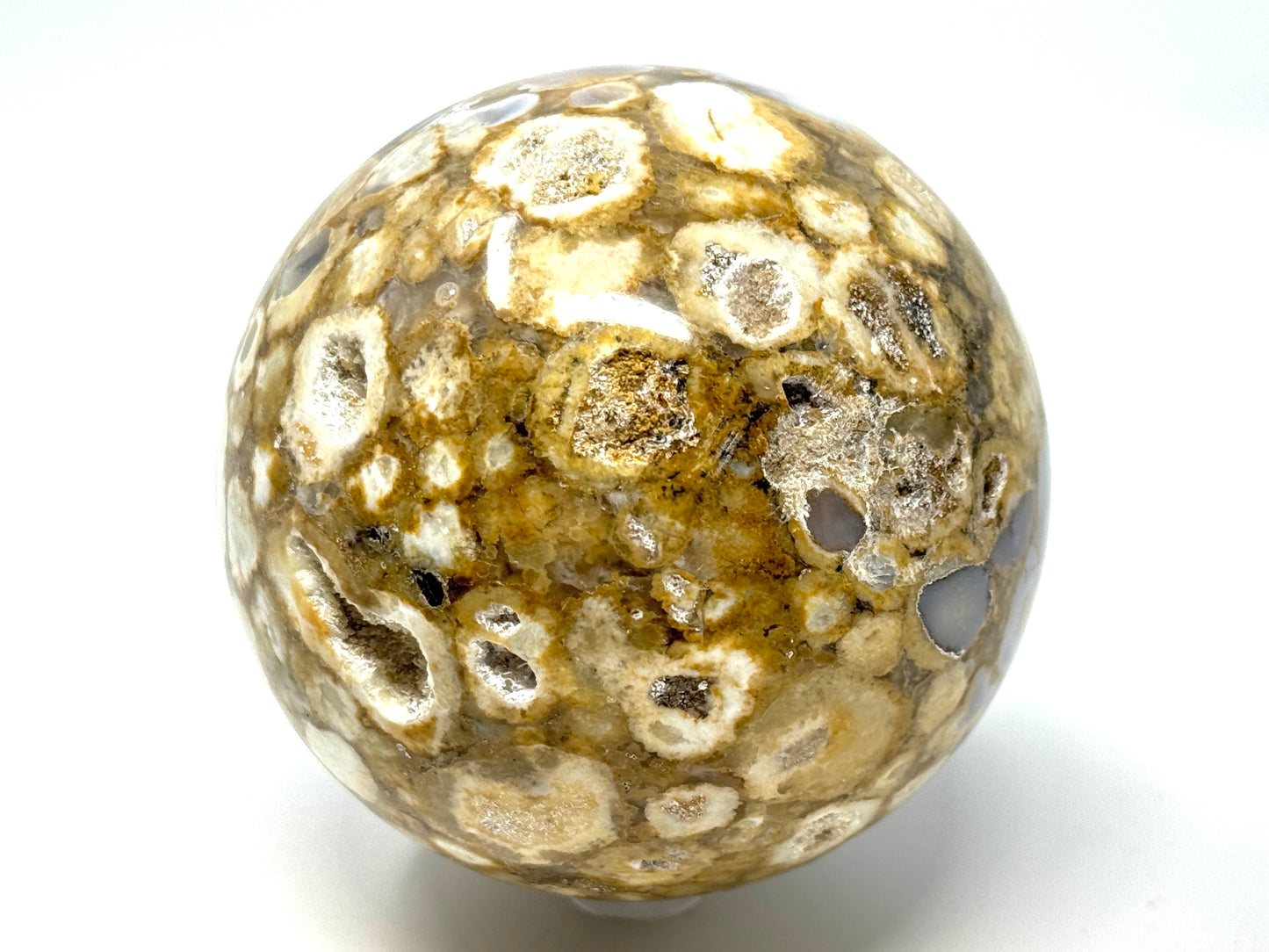 Large King Cobra Jasper Crystal Sphere 8.4cm