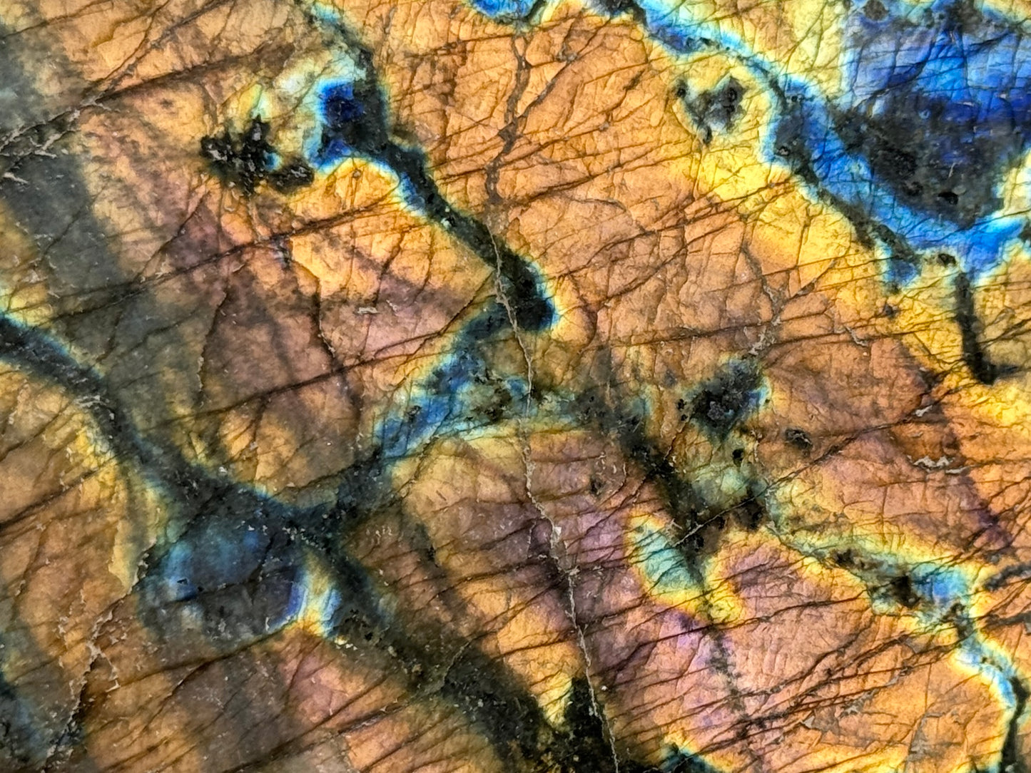 Large Labradorite Crystal Freeform 13.4cm