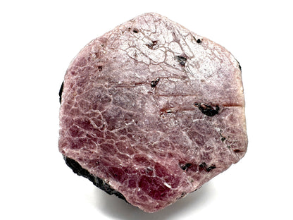 Natural Ruby Record Keeper Crystal 4.2cm