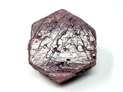 Natural Ruby Record Keeper Crystal 3.5cm