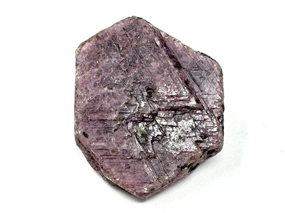 Natural Ruby Record Keeper Crystal 4.2cm