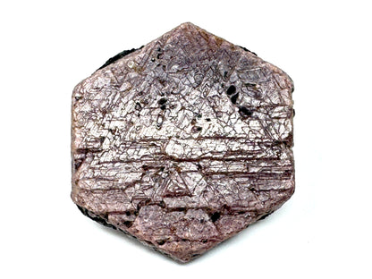 Natural Ruby Record Keeper Crystal 6cm