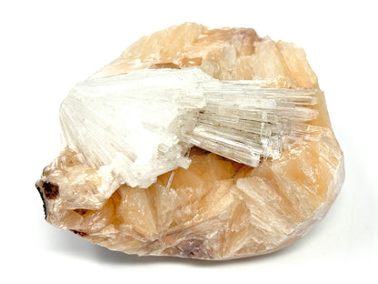 Natural Zeolite Crystal Scolecite on Stilbite 10.5cm