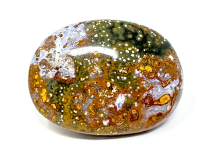 Ocean Jasper Crystal Pebble 6.3cm