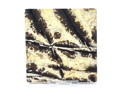 Picture Jasper Crystal Slice 10.3cm