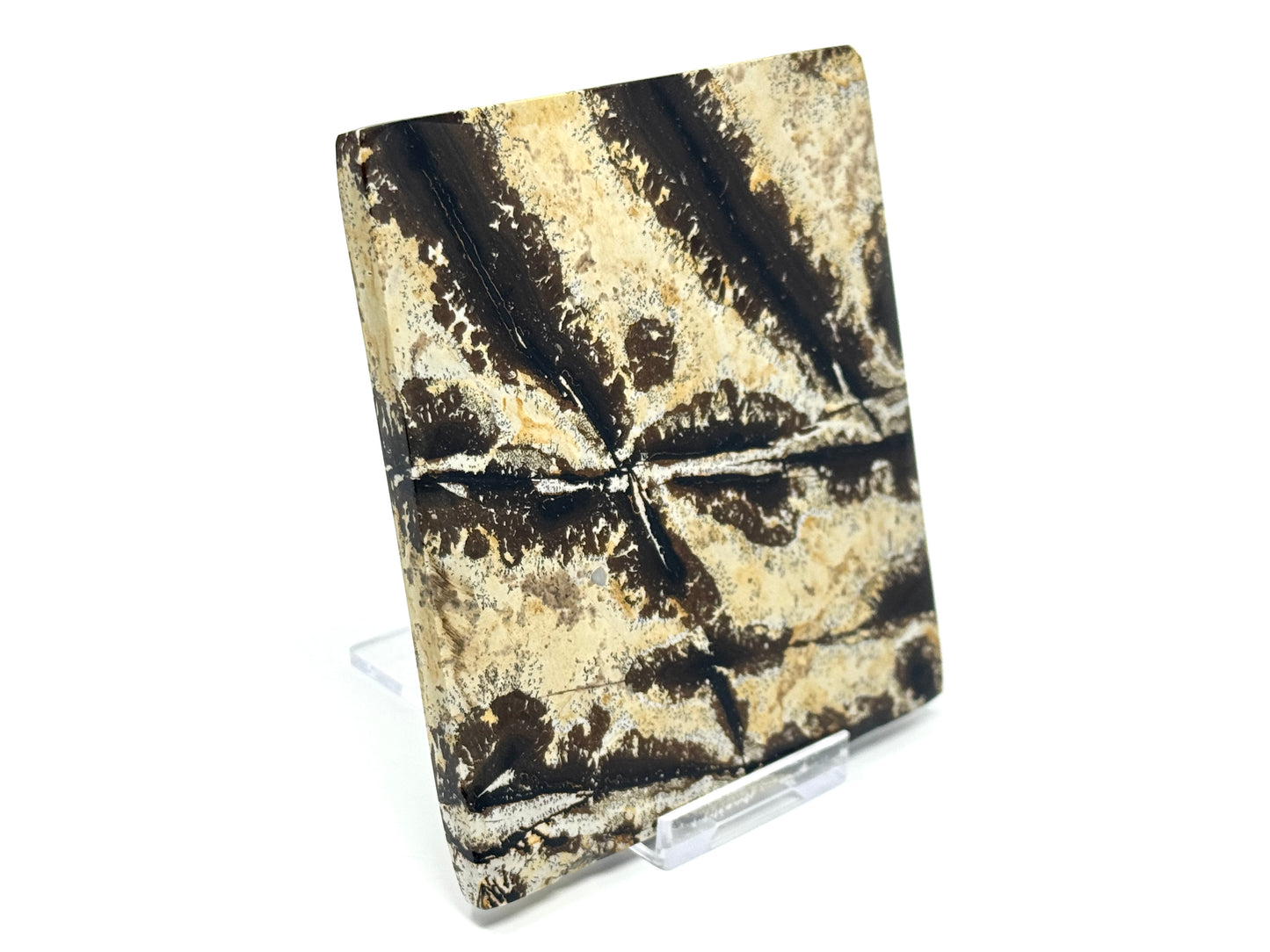 Picture Jasper Crystal Slice 10.3cm