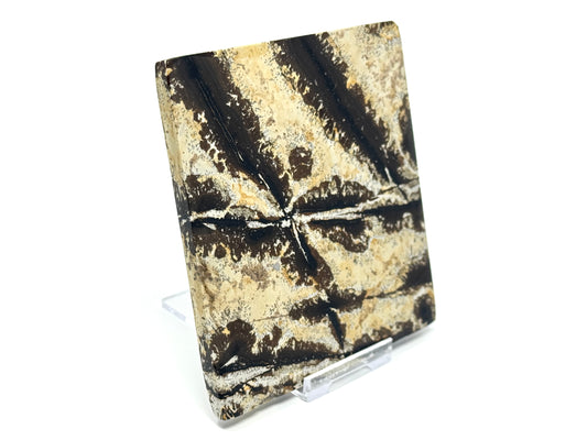 Picture Jasper Crystal Slice 10.3cm