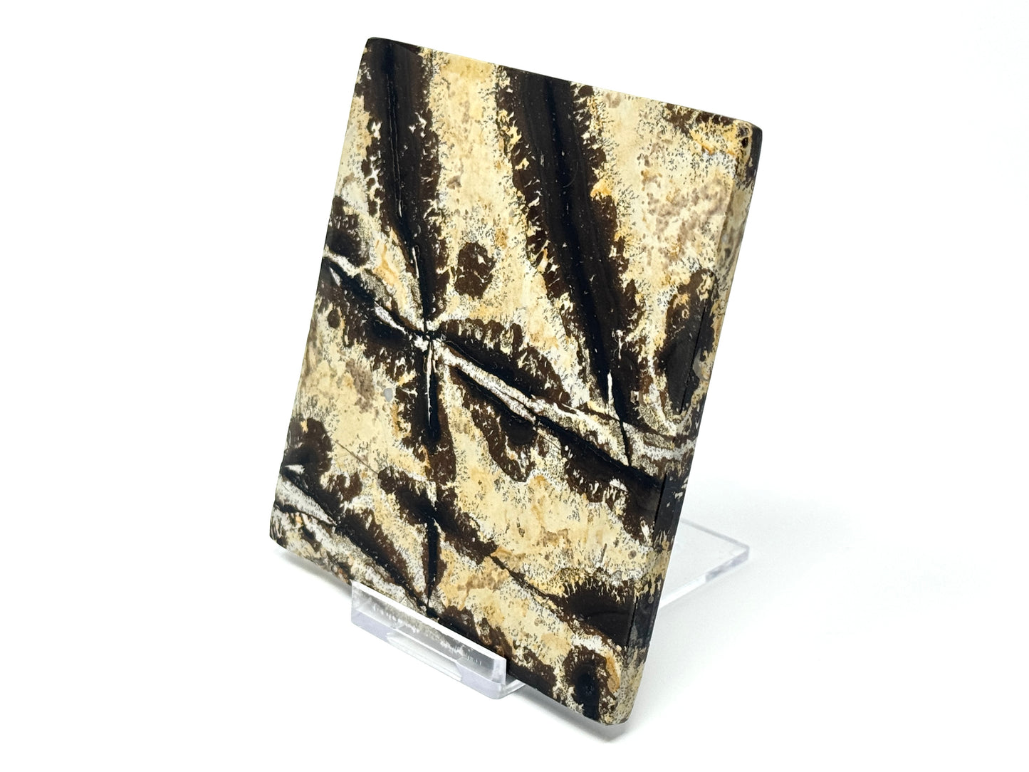 Picture Jasper Crystal Slice 10.3cm