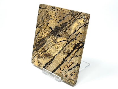 Picture Jasper Crystal Slice 10cm