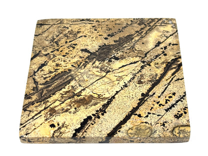 Picture Jasper Crystal Slice 10cm