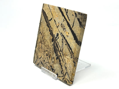 Picture Jasper Crystal Slice 10cm