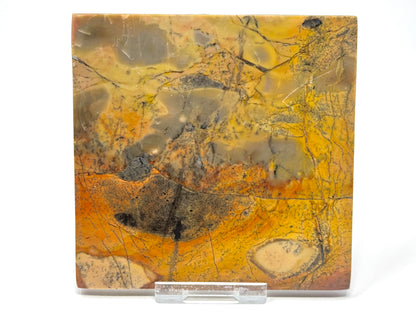 Picture Jasper crystal Slice 10cm