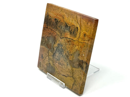 Picture Jasper Crystal Slice 10.1cm