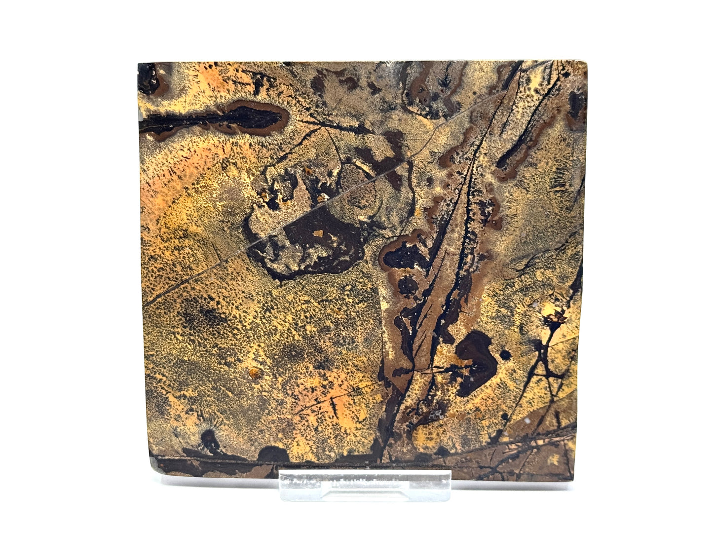 Picture Jasper crystal Slice 10.2cm